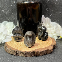 Load image into Gallery viewer, Silver Sheen Obsidian Small Cobra