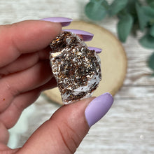 Load image into Gallery viewer, Raw Specimen: A-Grade Astrophyllite