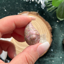 Load image into Gallery viewer, AKindHoliday: Mini Gnome