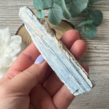 Load image into Gallery viewer, Raw Specimen: Blue Kyanite