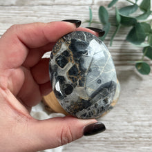 Load image into Gallery viewer, Maligano Jasper Soap Palmstone