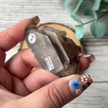 Load image into Gallery viewer, Cluster: Smoky Elestial (Skeletal) Quartz B