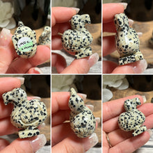 Load image into Gallery viewer, Dalmatian Jasper Dodo Bird