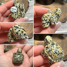 Load image into Gallery viewer, Small Dalmatian Land Turtle