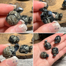 Load image into Gallery viewer, Mini Land Turtle