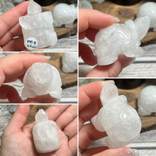 Load image into Gallery viewer, Large Clear Quartz Land Turtle