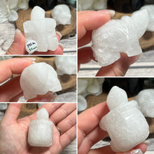 Load image into Gallery viewer, Large Clear Quartz Land Turtle