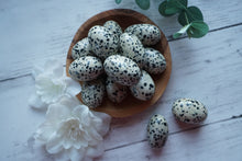 Load image into Gallery viewer, Dalmatian Cuddle