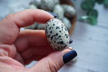 Load image into Gallery viewer, Dalmatian Cuddle