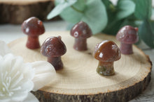 Load image into Gallery viewer, Mini Ocean Jasper Mushroom Home