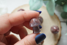 Load image into Gallery viewer, Mini Ocean Jasper Mushroom Home