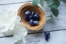 Load image into Gallery viewer, Sodalite Mushrooms