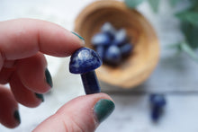 Load image into Gallery viewer, Sodalite Mushrooms