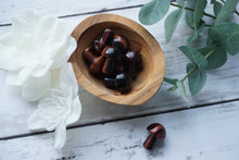 Load image into Gallery viewer, Red Tigers Eye Mushrooms