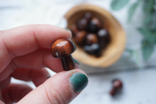 Load image into Gallery viewer, Red Tigers Eye Mushrooms