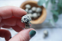 Load image into Gallery viewer, Dalmatian Mushrooms