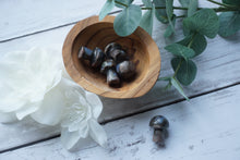 Load image into Gallery viewer, Que Sera Mushrooms