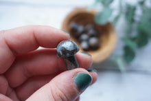 Load image into Gallery viewer, Que Sera Mushrooms