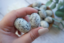 Load image into Gallery viewer, Kiwi Jasper Cuddle