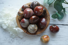 Load image into Gallery viewer, Petrified Wood Cuddle