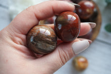 Load image into Gallery viewer, Petrified Wood Cuddle