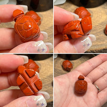 Load image into Gallery viewer, Mini Land Turtle