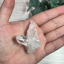Load image into Gallery viewer, Cluster: Zeca De Sousa Clear Quartz Q