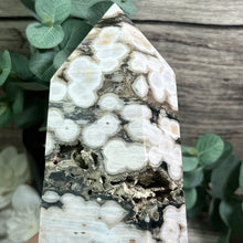 Load image into Gallery viewer, Orbicular (Bubble) Ocean Jasper Statement Generator