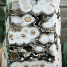 Load image into Gallery viewer, Orbicular (Bubble) Ocean Jasper Statement Generator