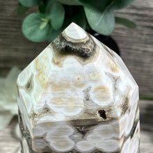 Load image into Gallery viewer, Orbicular (Bubble) Ocean Jasper Statement Generator