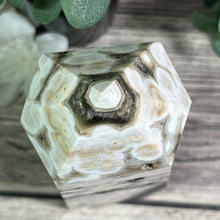 Load image into Gallery viewer, Orbicular (Bubble) Ocean Jasper Statement Generator