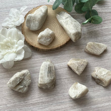 Load image into Gallery viewer, Freeform Specimen: Belomorite