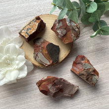 Load image into Gallery viewer, Raw Specimen: Noreena Jasper