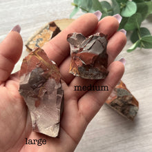 Load image into Gallery viewer, Raw Specimen: Noreena Jasper