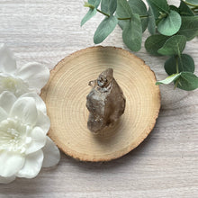 Load image into Gallery viewer, Cluster: Smoky Elestial (Skeletal) Quartz J