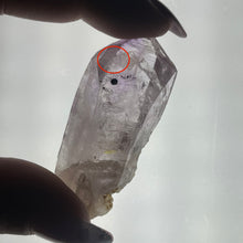 Load image into Gallery viewer, Enhydro Raw Specimen: Vera Cruz Amethyst L