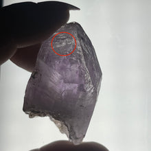 Load image into Gallery viewer, Enhydro Raw Specimen: Vera Cruz Amethyst R