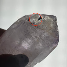Load image into Gallery viewer, Enhydro Raw Specimen: Vera Cruz Amethyst D