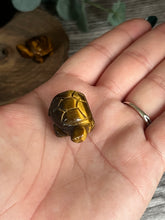 Load image into Gallery viewer, Mini Land Turtle