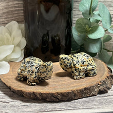 Load image into Gallery viewer, Small Dalmatian Land Turtle