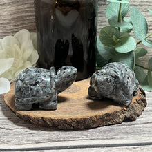 Load image into Gallery viewer, Large Larvikite Land Turtle