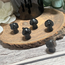 Load image into Gallery viewer, Silver Sheen Mini Mushroom Home
