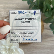 Load image into Gallery viewer, Raw Specimen: Spirit Flower Geode F