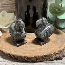 Load image into Gallery viewer, Larvikite Dodo Bird