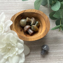 Load image into Gallery viewer, Ocean Jasper Mushrooms