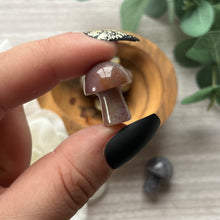 Load image into Gallery viewer, Ocean Jasper Mushrooms