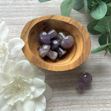 Load image into Gallery viewer, Amethyst Mushrooms