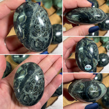 Load image into Gallery viewer, Kambaba Jasper Palmstone