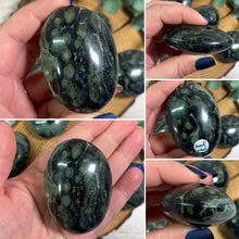 Load image into Gallery viewer, Kambaba Jasper Palmstone