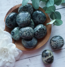 Load image into Gallery viewer, Kambaba Cuddle